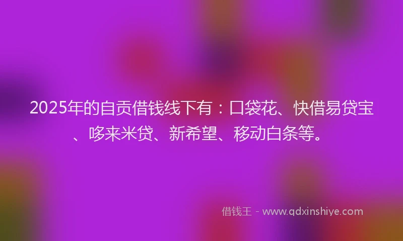 2025年的自贡借钱线下有：口袋花、快借易贷宝、哆来米贷、新希望、移动白条等。