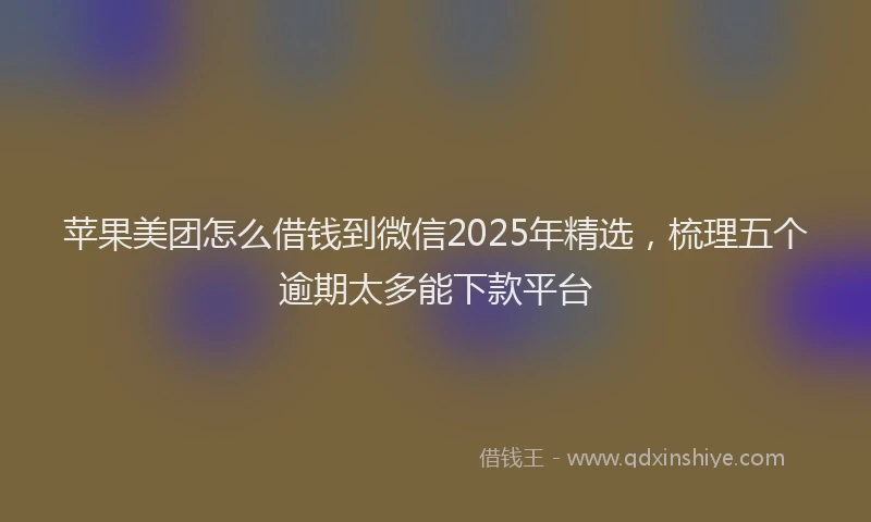 苹果美团怎么借钱到微信2025年精选，梳理五个逾期太多能下款平台