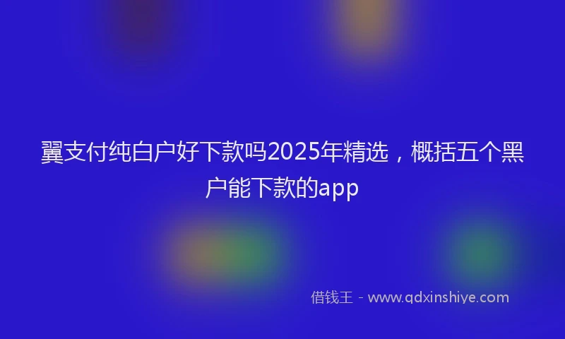 翼支付纯白户好下款吗2025年精选，概括五个黑户能下款的app