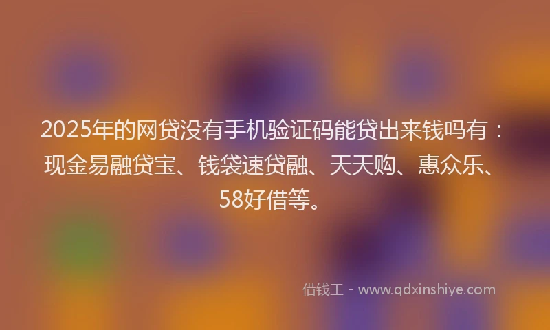2025年的网贷没有手机验证码能贷出来钱吗有：现金易融贷宝、钱袋速贷融、天天购、惠众乐、58好借等。
