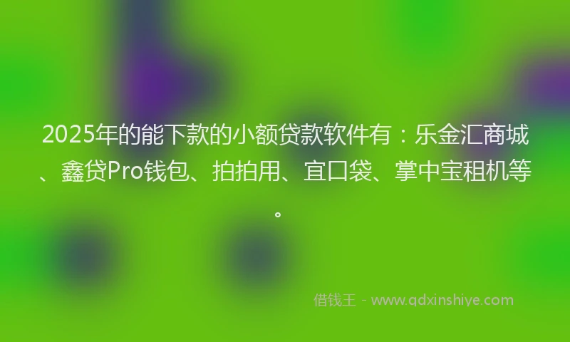 2025年的能下款的小额贷款软件有：乐金汇商城、鑫贷Pro钱包、拍拍用、宜口袋、掌中宝租机等。