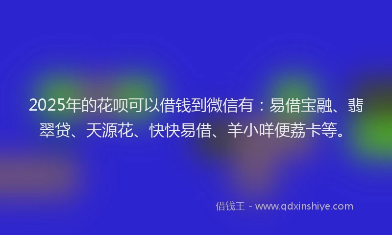 2025年的花呗可以借钱到微信有：易借宝融、翡翠贷、天源花、快快易借、羊小咩便荔卡等。