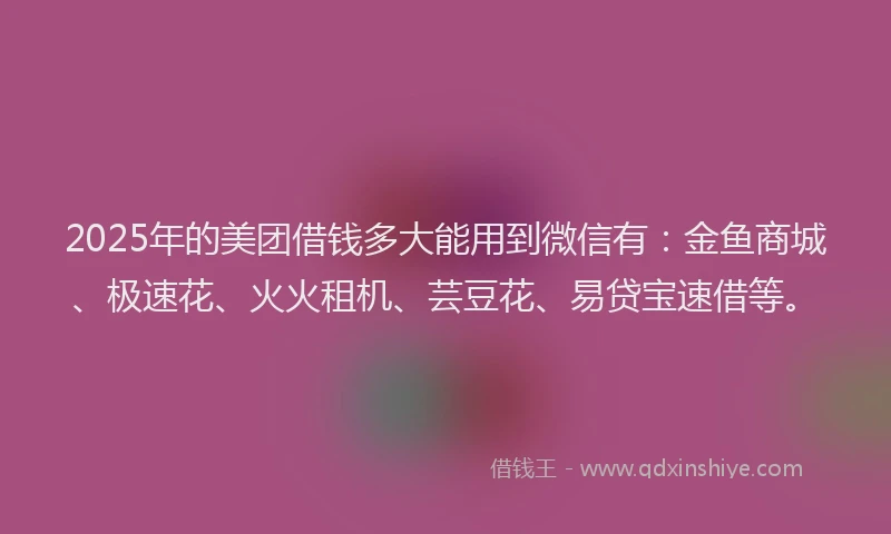 2025年的美团借钱多大能用到微信有：金鱼商城、极速花、火火租机、芸豆花、易贷宝速借等。