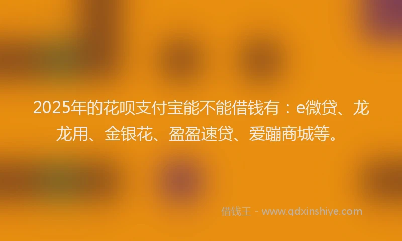2025年的花呗支付宝能不能借钱有：e微贷、龙龙用、金银花、盈盈速贷、爱蹦商城等。