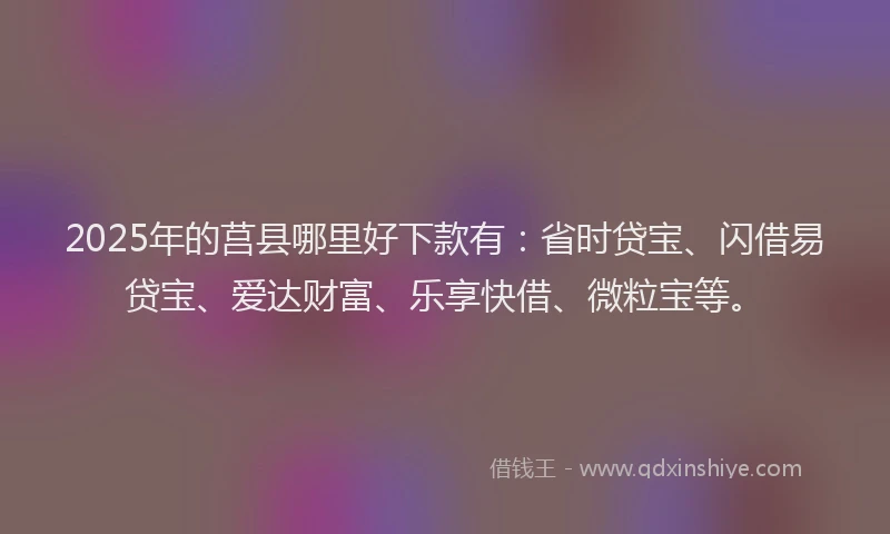 2025年的莒县哪里好下款有：省时贷宝、闪借易贷宝、爱达财富、乐享快借、微粒宝等。