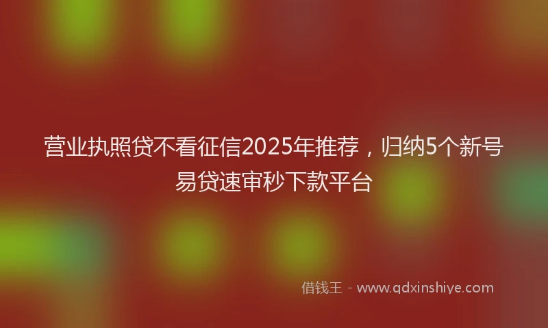 营业执照贷不看征信2025年推荐，归纳5个新号易贷速审秒下款平台