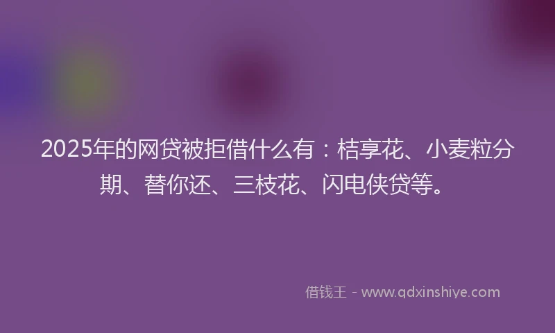2025年的网贷被拒借什么有：桔享花、小麦粒分期、替你还、三枝花、闪电侠贷等。