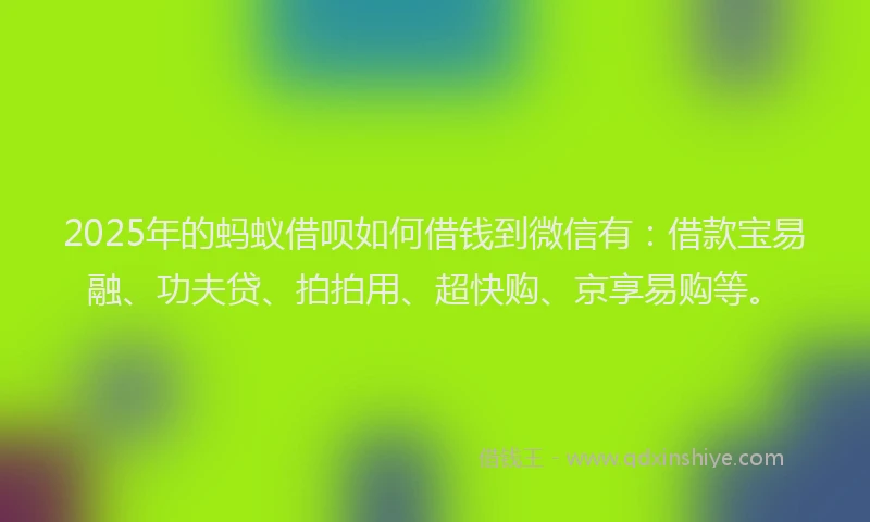 2025年的蚂蚁借呗如何借钱到微信有：借款宝易融、功夫贷、拍拍用、超快购、京享易购等。
