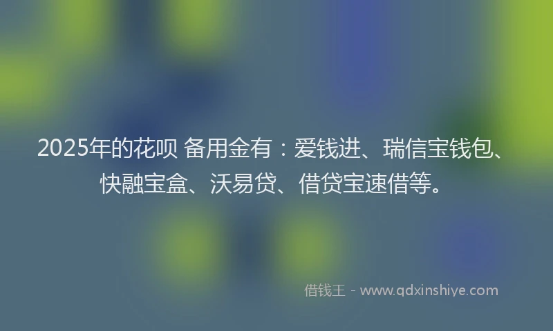2025年的花呗 备用金有：爱钱进、瑞信宝钱包、快融宝盒、沃易贷、借贷宝速借等。