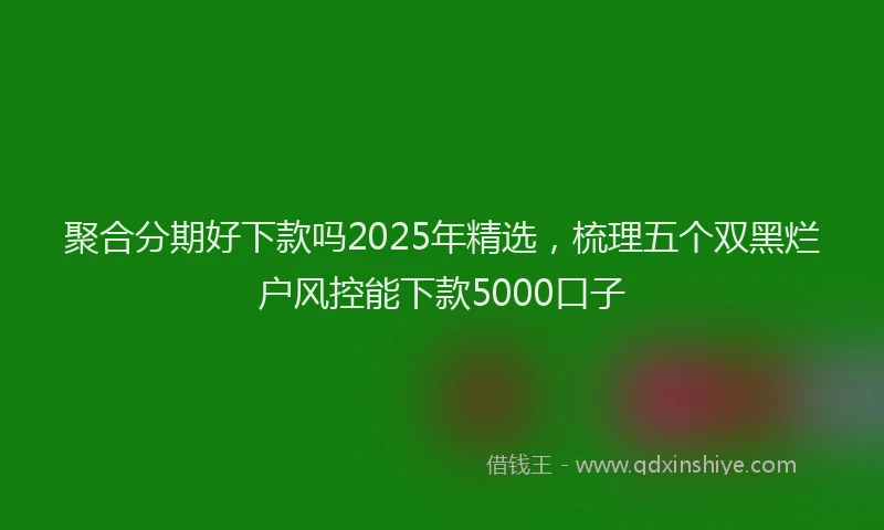 聚合分期好下款吗2025年精选，梳理五个双黑烂户风控能下款5000口子
