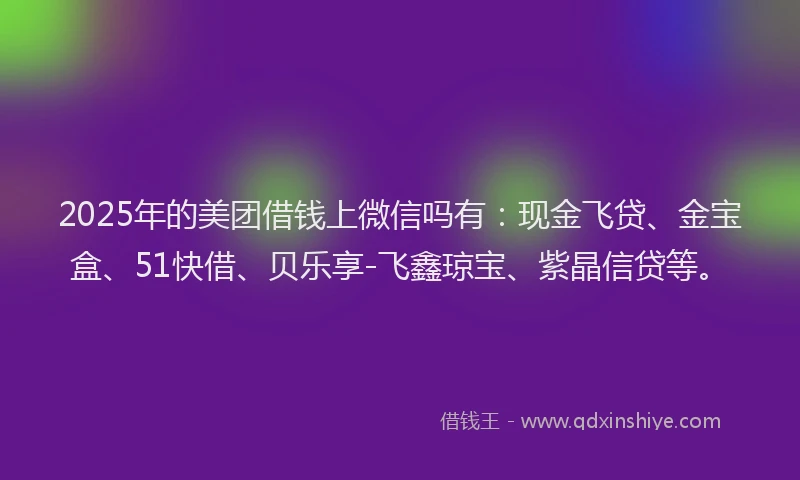 2025年的美团借钱上微信吗有：现金飞贷、金宝盒、51快借、贝乐享-飞鑫琼宝、紫晶信贷等。