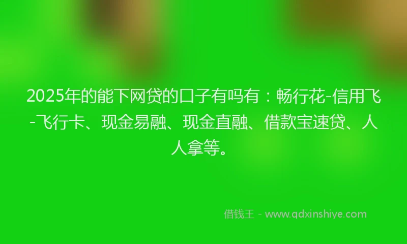 2025年的能下网贷的口子有吗有：畅行花-信用飞-飞行卡、现金易融、现金直融、借款宝速贷、人人拿等。