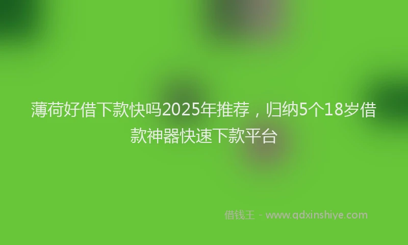 薄荷好借下款快吗2025年推荐，归纳5个18岁借款神器快速下款平台