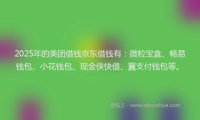 2025年的美团借钱京东借钱有：微粒宝盒、畅易钱包、小花钱包、现金侠快借、翼支付钱包等。