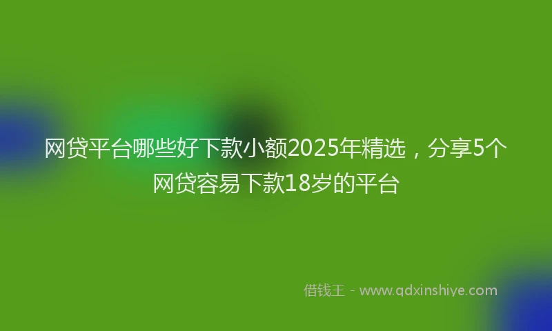 网贷平台哪些好下款小额2025年精选，分享5个网贷容易下款18岁的平台