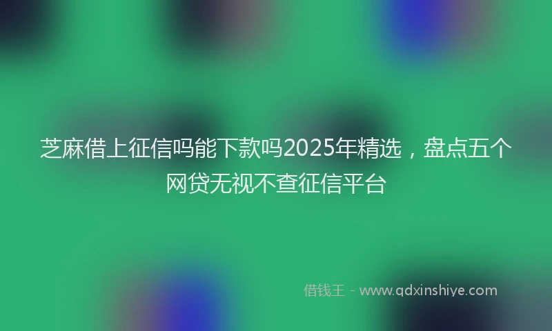 芝麻借上征信吗能下款吗2025年精选，盘点五个网贷无视不查征信平台