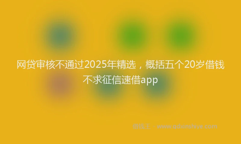 网贷审核不通过2025年精选，概括五个20岁借钱不求征信速借app
