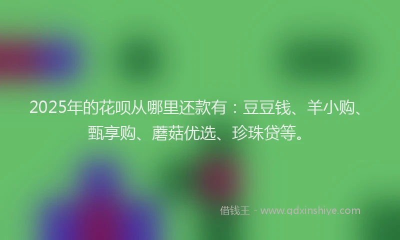 2025年的花呗从哪里还款有：豆豆钱、羊小购、甄享购、蘑菇优选、珍珠贷等。
