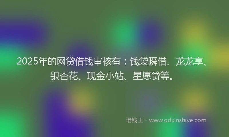 2025年的网贷借钱审核有：钱袋瞬借、龙龙享、银杏花、现金小站、星愿贷等。