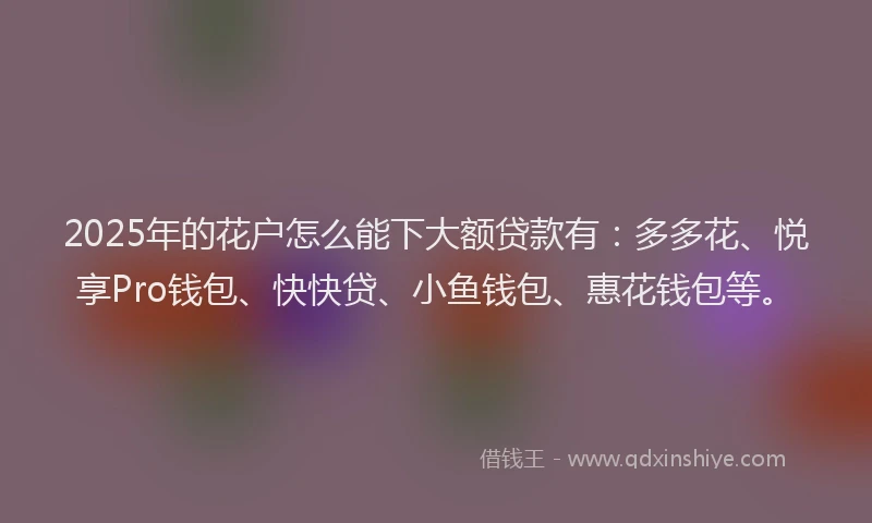 2025年的花户怎么能下大额贷款有：多多花、悦享Pro钱包、快快贷、小鱼钱包、惠花钱包等。