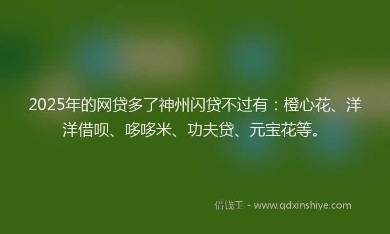 2025年的网贷多了神州闪贷不过有：橙心花、洋洋借呗、哆哆米、功夫贷、元宝花等。