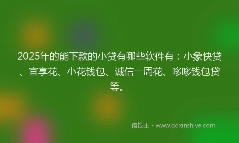 2025年的能下款的小贷有哪些软件有：小象快贷、宜享花、小花钱包、诚信一周花、哆哆钱包贷等。
