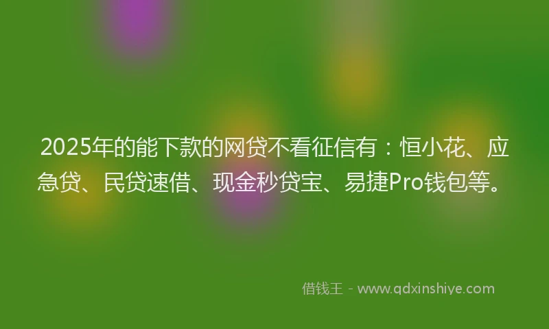 2025年的能下款的网贷不看征信有：恒小花、应急贷、民贷速借、现金秒贷宝、易捷Pro钱包等。