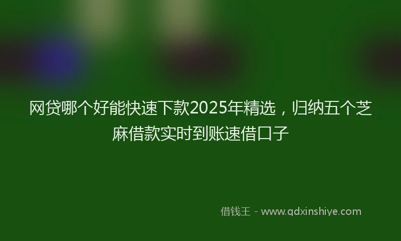 网贷哪个好能快速下款2025年精选，归纳五个芝麻借款实时到账速借口子