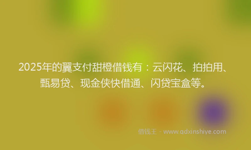 2025年的翼支付甜橙借钱有：云闪花、拍拍用、甄易贷、现金侠快借通、闪贷宝盒等。
