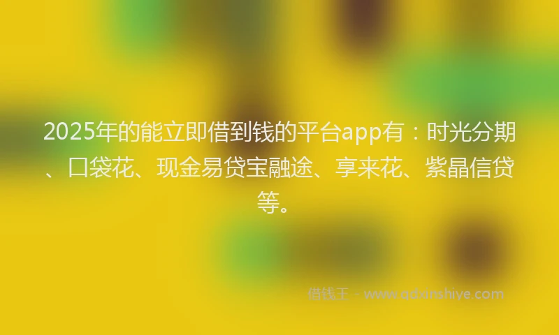 2025年的能立即借到钱的平台app有：时光分期、口袋花、现金易贷宝融途、享来花、紫晶信贷等。