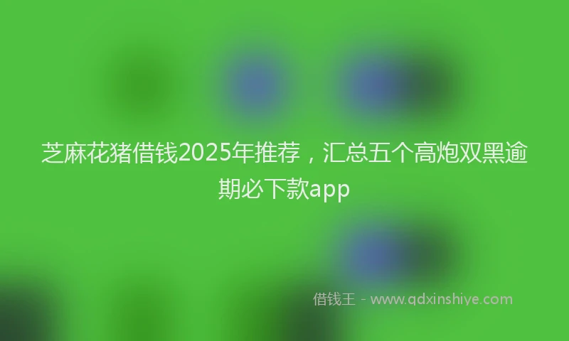 芝麻花猪借钱2025年推荐，汇总五个高炮双黑逾期必下款app