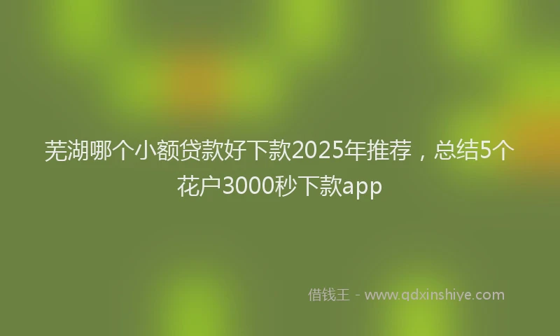 芜湖哪个小额贷款好下款2025年推荐，总结5个花户3000秒下款app