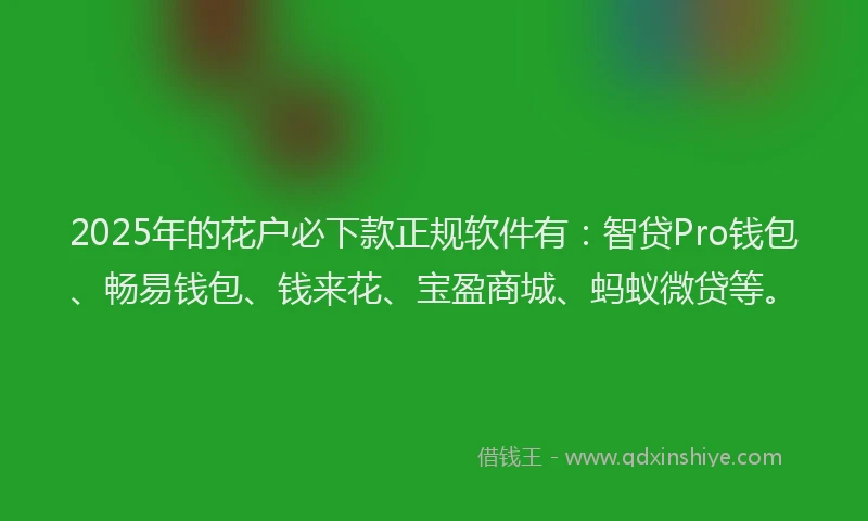 2025年的花户必下款正规软件有：智贷Pro钱包、畅易钱包、钱来花、宝盈商城、蚂蚁微贷等。