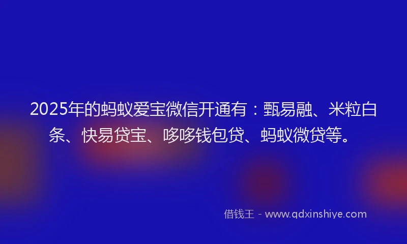 2025年的蚂蚁爱宝微信开通有：甄易融、米粒白条、快易贷宝、哆哆钱包贷、蚂蚁微贷等。