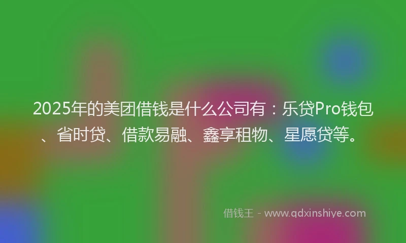 2025年的美团借钱是什么公司有：乐贷Pro钱包、省时贷、借款易融、鑫享租物、星愿贷等。