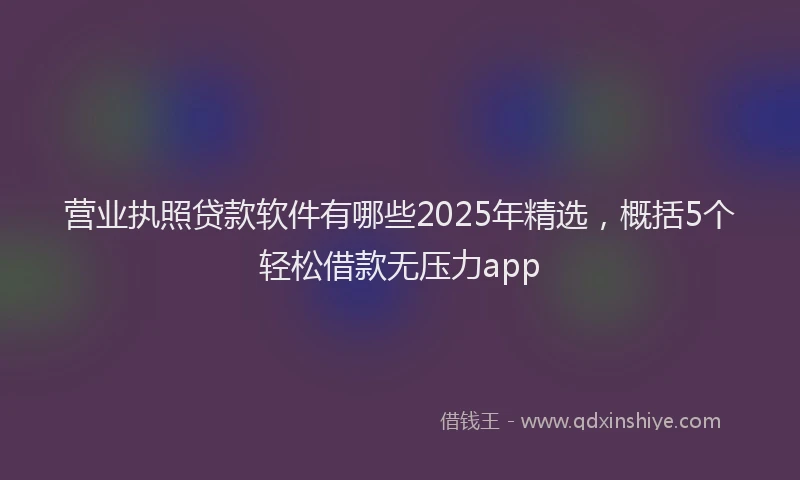 营业执照贷款软件有哪些2025年精选，概括5个轻松借款无压力app
