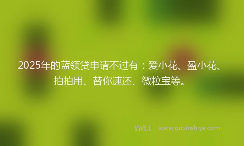 2025年的蓝领贷申请不过有：爱小花、盈小花、拍拍用、替你速还、微粒宝等。