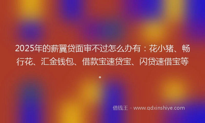 2025年的薪翼贷面审不过怎么办有：花小猪、畅行花、汇金钱包、借款宝速贷宝、闪贷速借宝等。