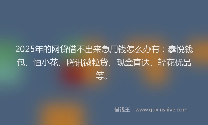 2025年的网贷借不出来急用钱怎么办有：鑫悦钱包、恒小花、腾讯微粒贷、现金直达、轻花优品等。