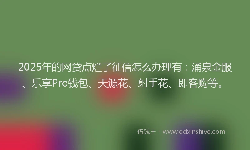 2025年的网贷点烂了征信怎么办理有：涌泉金服、乐享Pro钱包、天源花、射手花、即客购等。