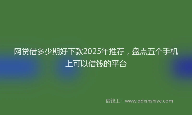 网贷借多少期好下款2025年推荐，盘点五个手机上可以借钱的平台