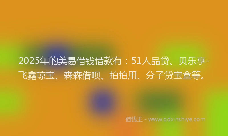 2025年的美易借钱借款有：51人品贷、贝乐享-飞鑫琼宝、森森借呗、拍拍用、分子贷宝盒等。