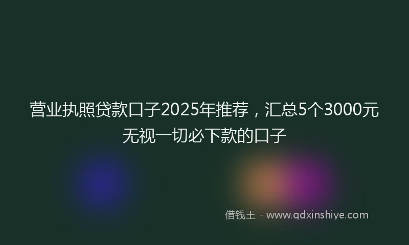 营业执照贷款口子2025年推荐，汇总5个3000元无视一切必下款的口子