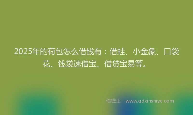 2025年的荷包怎么借钱有：借蛙、小金象、口袋花、钱袋速借宝、借贷宝易等。