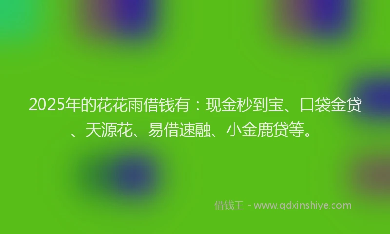 2025年的花花雨借钱有：现金秒到宝、口袋金贷、天源花、易借速融、小金鹿贷等。