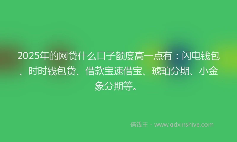 2025年的网贷什么口子额度高一点有：闪电钱包、时时钱包贷、借款宝速借宝、琥珀分期、小金象分期等。