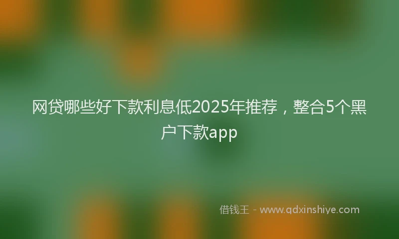 网贷哪些好下款利息低2025年推荐，整合5个黑户下款app