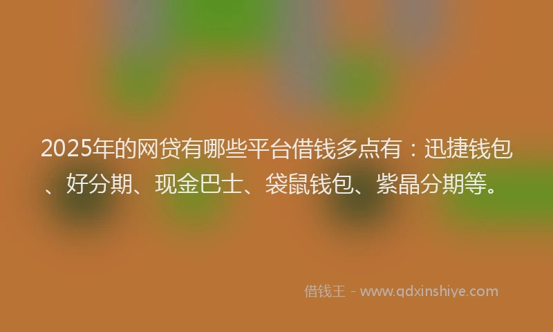 2025年的网贷有哪些平台借钱多点有：迅捷钱包、好分期、现金巴士、袋鼠钱包、紫晶分期等。