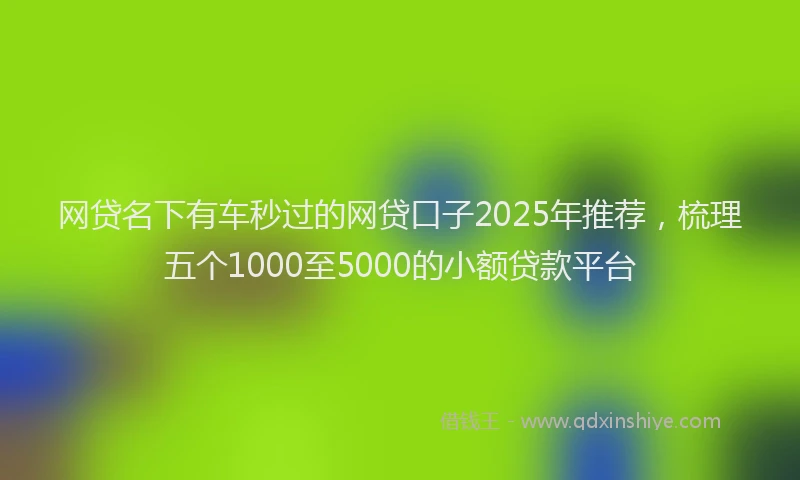 网贷名下有车秒过的网贷口子2025年推荐，梳理五个1000至5000的小额贷款平台