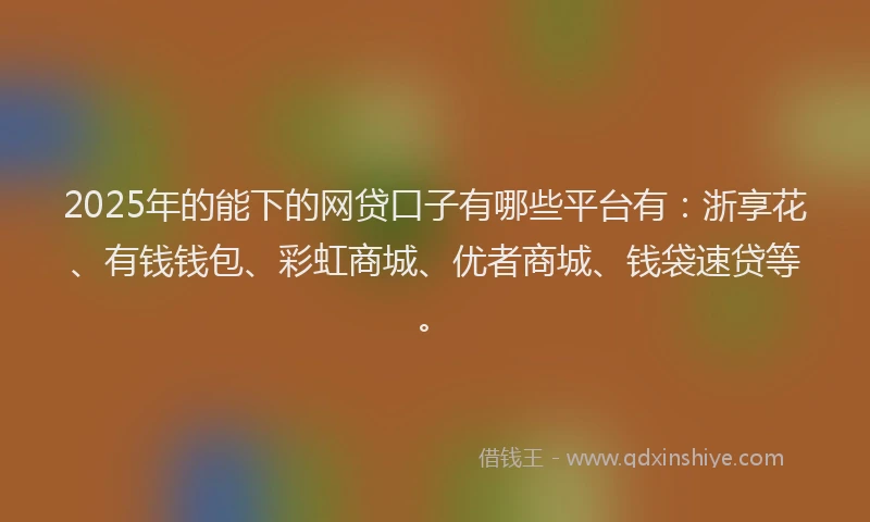 2025年的能下的网贷口子有哪些平台有：浙享花、有钱钱包、彩虹商城、优者商城、钱袋速贷等。
